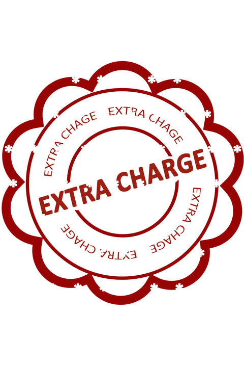 Payment Extra Charge